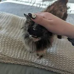 Mistressjuliana.... photo on Jungo Live