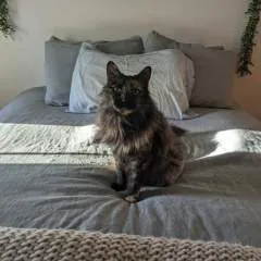 Mistressjuliana.... photo on Jungo Live