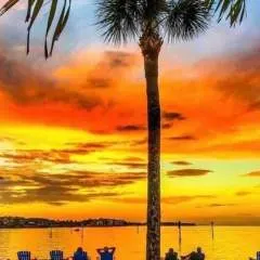 All In Fun 2 photo on Jungo Live