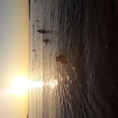 Mio photo on Jungo Live