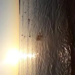 Mio photo on Jungo Live