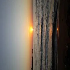 Mio photo on Jungo Live