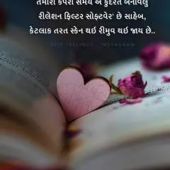 Rocky photo on Jungo Live