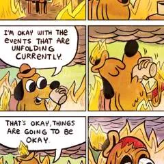 Cheezegamer photo on Jungo Live