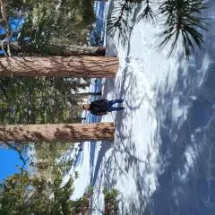 Leo Jane photo on Jungo Live