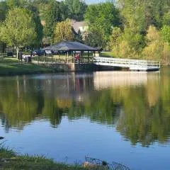 Zak photo on Jungo Live