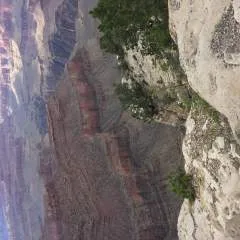 Martin photo on Jungo Live