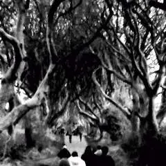 Brewdogz photo on Jungo Live