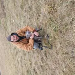 Biman88 photo on Jungo Live