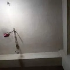 Rana photo on Jungo Live