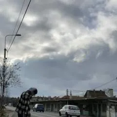 Carti photo on Jungo Live