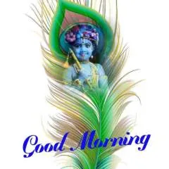 Resh photo on Jungo Live