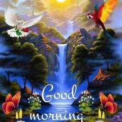 Resh photo on Jungo Live