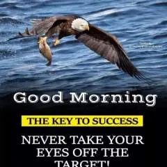 Resh photo on Jungo Live