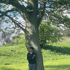 Dev photo on Jungo Live