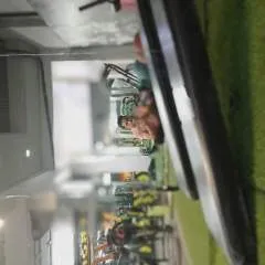 Vedoptimistic photo on Jungo Live