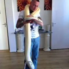 Dutchguy39 photo on Jungo Live