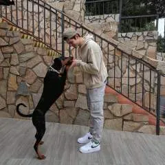 Emil photo on Jungo Live