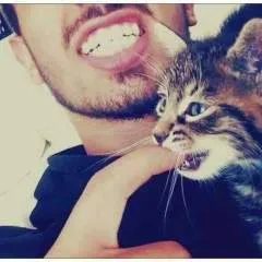 Mazir photo on Jungo Live