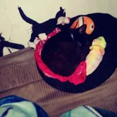 Pau N Len photo on Jungo Live