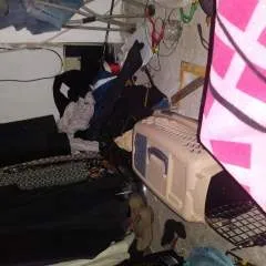 Pau N Len photo on Jungo Live