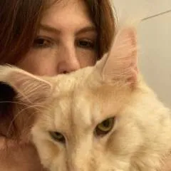 Alexandervondoorn photo on Jungo Live