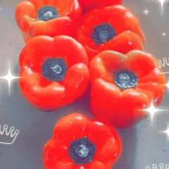 Lilian photo on Jungo Live