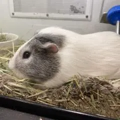 Doughystyle photo on Jungo Live