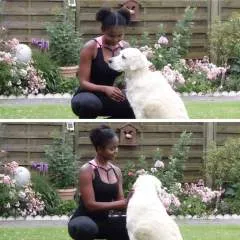 Frenchchic photo on Jungo Live