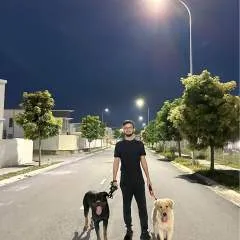 Mr Pop photo on Jungo Live