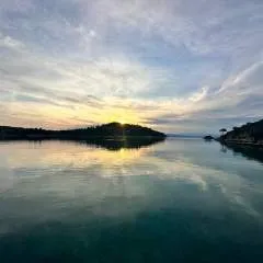 Pat.... photo on Jungo Live