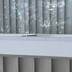 Ser photo on Jungo Live