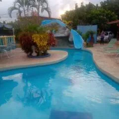 Big Stallion photo on Jungo Live