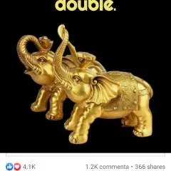 Pricklall photo on Jungo Live