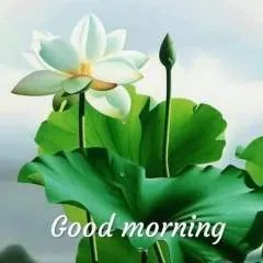 Amit Das photo on Jungo Live