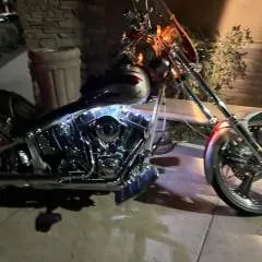 Minnviking56 photo on Jungo Live