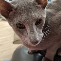 .... photo on Jungo Live