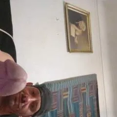 Whip........ photo on Jungo Live