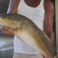 Bighat photo on Jungo Live