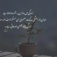 Usman photo on Jungo Live