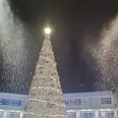 Tan photo on Jungo Live