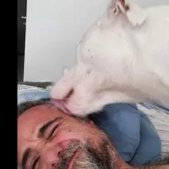 Luchopikhal photo on Jungo Live