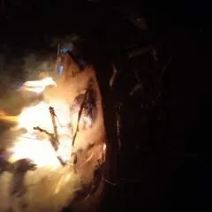 Jamesandtiff photo on Jungo Live