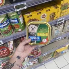 Unisbdsm photo on Jungo Live