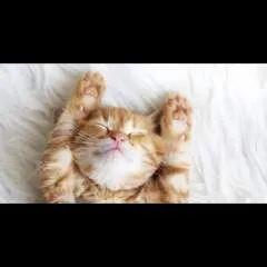 Samy photo on Jungo Live