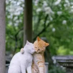 Samy photo on Jungo Live