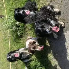 Mrdducci photo on Jungo Live