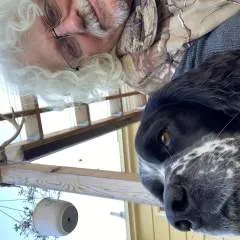 Mrdducci photo on Jungo Live