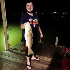 Jaygar........ photo on Jungo Live