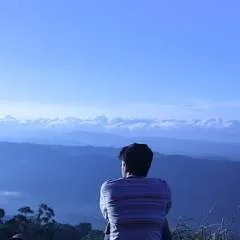 Burmese Bj Pro photo on Jungo Live